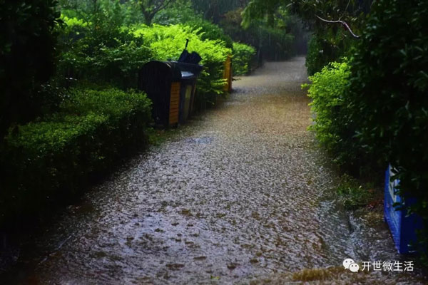 不管风里雨里，嘉年物业都在守护你