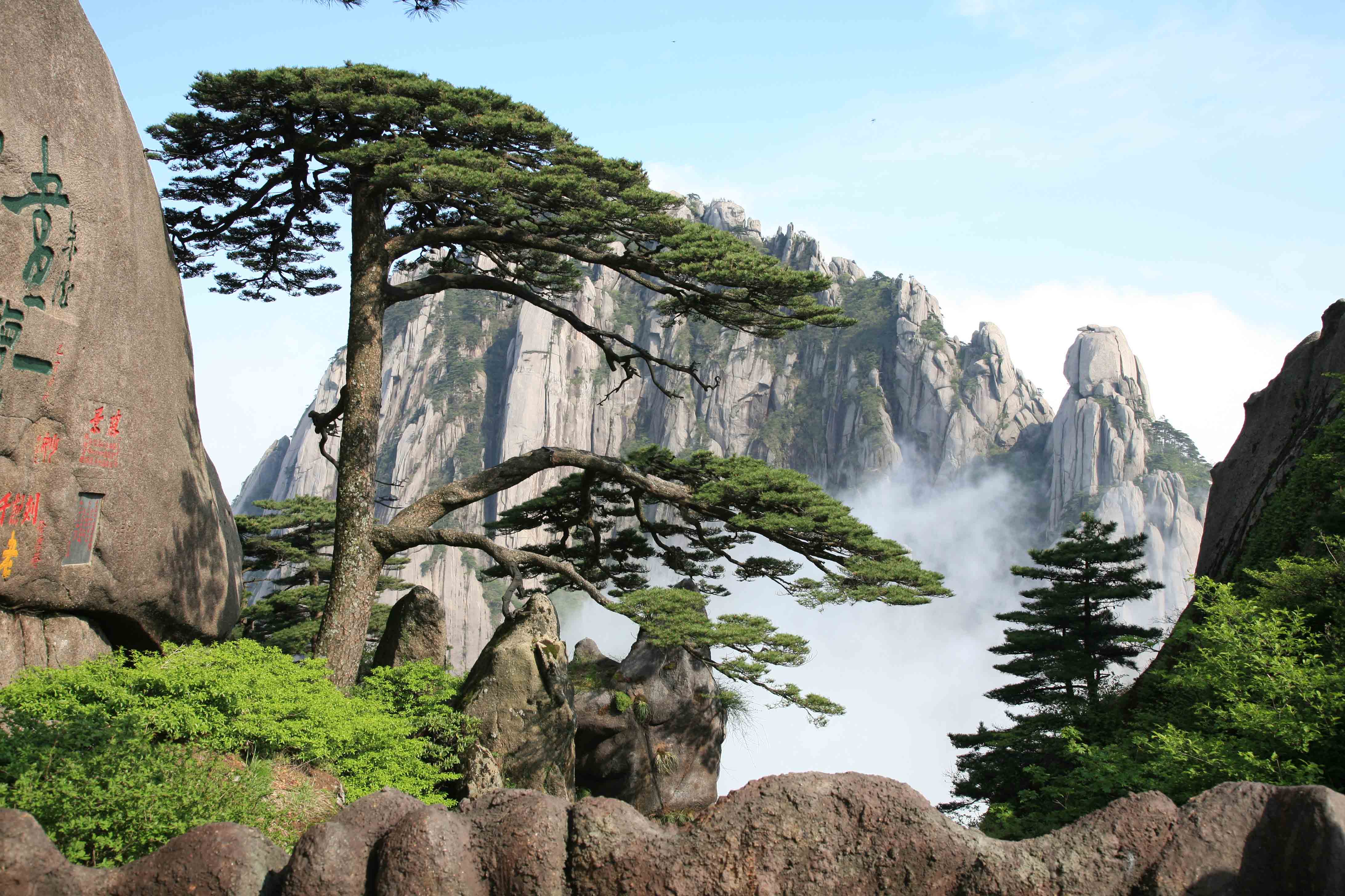 【精品黄千】登峰黄山、篁岭晒秋、塔川赏秋、宏村静秋、宿千岛湖畔6日纯玩之旅